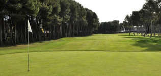 Aena busca socios para gestionar el golf del Aeropuerto de Valencia