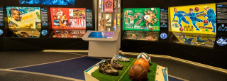 Fifa renueva el nombre y el logotipo de su museo