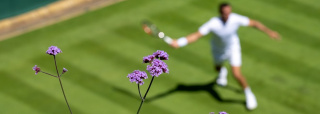 Wimbledon recupera la normalidad con el mayor ‘prize money’ de su historia